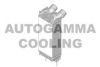 AUTOGAMMA 105528 Intercooler, charger